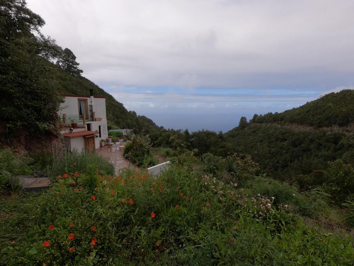 Freedom Villa El Tablado Bagian luar foto