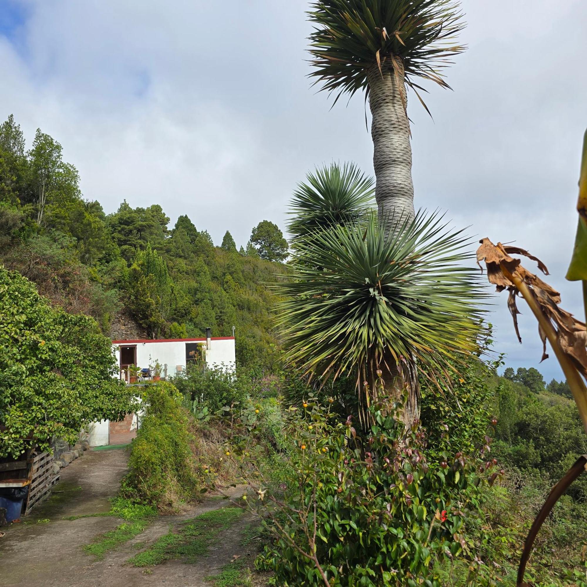 Freedom Villa El Tablado Bagian luar foto